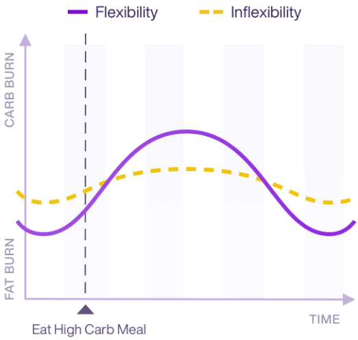 2 graphs of efficiency and inefficiency s time dependent Fat burning and carbohydrates